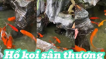 HỒ KOI TRÊN SÂN THƯỢNG TẦNG 6