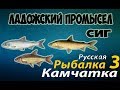 Русская Рыбалка 3.99 —Ладожский промысел (Сиг)