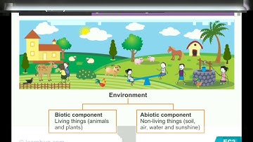 Our environment science class 6 full chapter 1 Dav