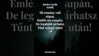 Juhász Gyula Emlék  #nekedbelegyen #felfedezés #vers #horváthákos #ajánlott #fy #új #magyarvers