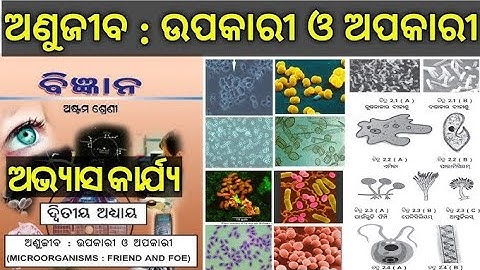 Class 8th, science chapter 2, question answers odia medium 
