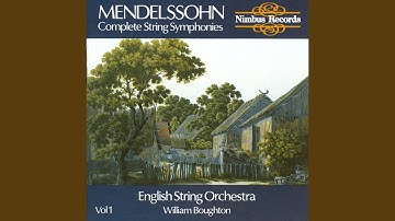 String Symphony No. 4 in C Minor, MWV N4: I. Grave - Allegro