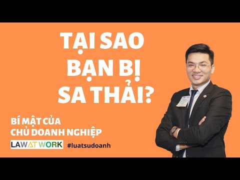 Video: Làm thế nào để biết khi nào cần sa thải luật sư (có hình ảnh)