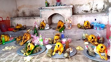 Tục Cúng Thổ Công Ngày Mùng Một Tết của Người Tày , Nùng đông bắc | Hoàng Thắng