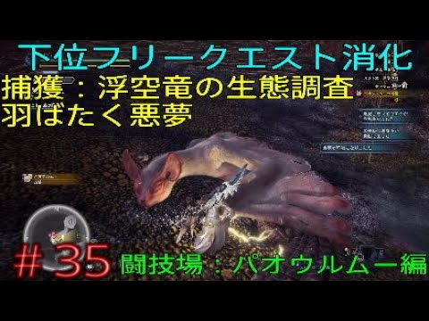 35 Mhw 下位フリークエスト消化 捕獲 浮空竜の生態調査 羽ばたく悪夢 アイスボーンに向けて初心者が今さらモンハンワールドやってく Monster Hunter World Youtube