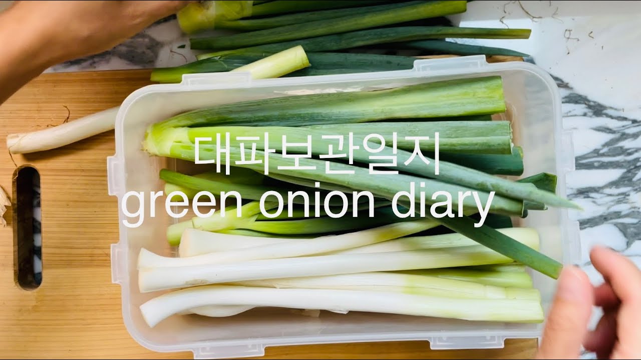 SUB)대파보관법 대파보관일지 green onion diary YouTube