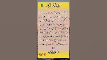 #سورة #الحجرات #سورة_الحجرات #صلاح_بوخاطر