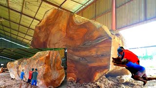proses penggergajian kayu mahoni super besar  diameter 100cm.the biggest Indonesian Mahogany sawing.