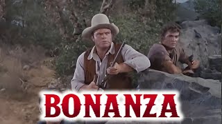 Bonanza - The Trackers - Western Series - FULL EPISODES - The Best Cowboy TV #bonanza