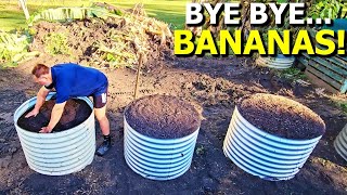 DON'T Grow BANANA Plants Until You WATCH THIS! by Self Sufficient Me 421,454 views 9 months ago 11 minutes, 21 seconds