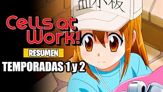 🌟Cells at Work! (El anime del Cuerpo Humano) [Resumen] Temporadas 1 y 2 | Hataraku Saibou