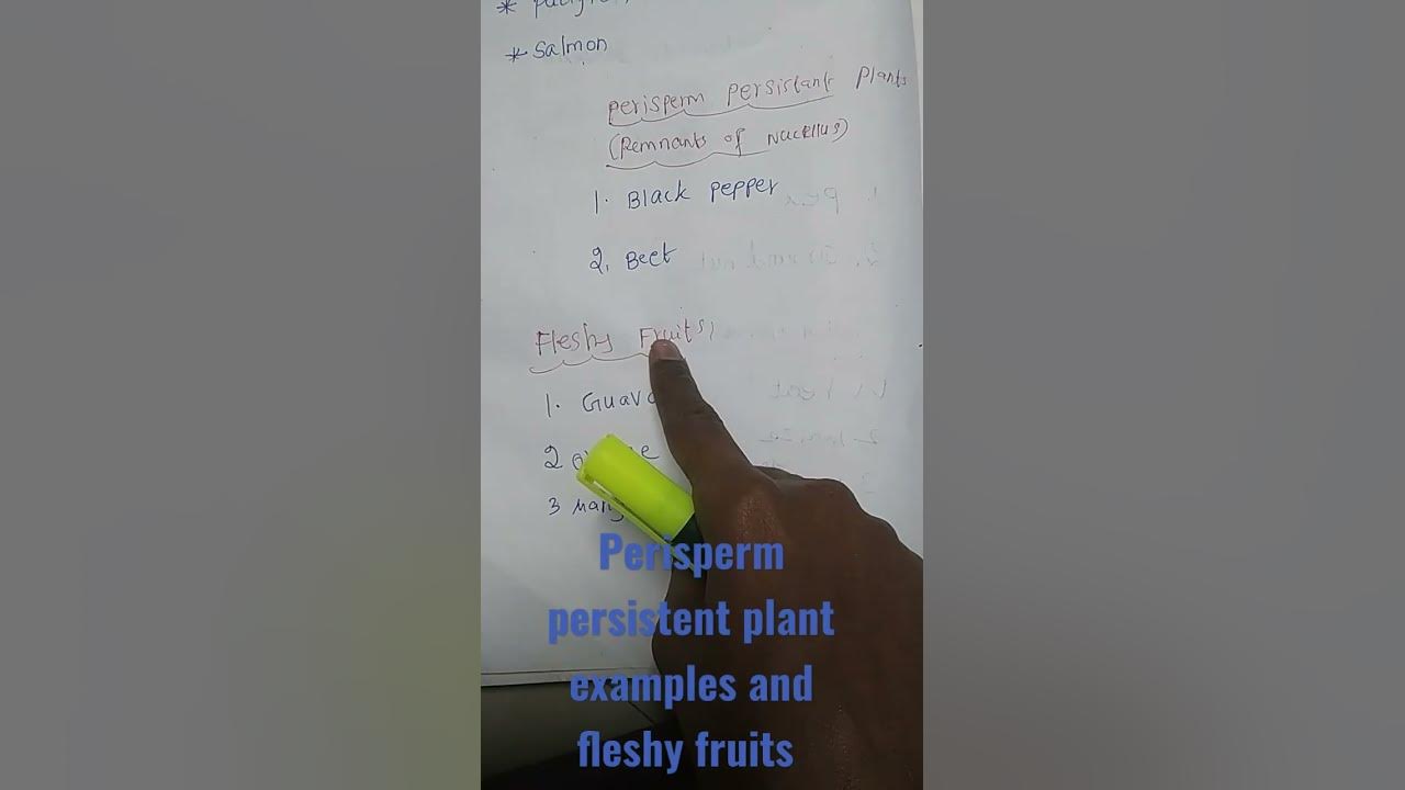 Perisperm Persistent Plant And Fleshy Fruits Examples neet Short dry-cough-chronic-cough-causes-and-treatment-youtube