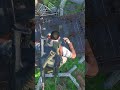 Уничтожили лут | Кибер кебабы #scum #ribbon #ribbongaming