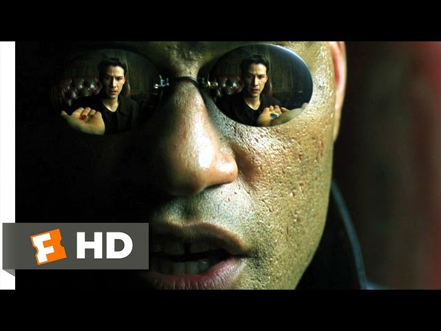 Blue Pill or Red Pill - The Matrix (2/9) Movie CLIP (1999) HD YouTube