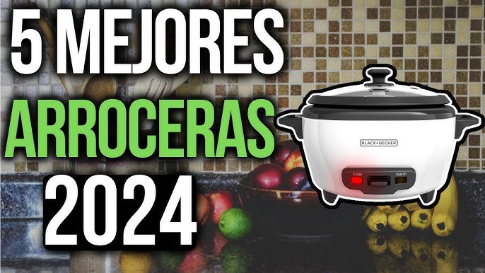 Las 5 mejores ARROCERAS ELÉCTRICAS que puedes conseguir en  