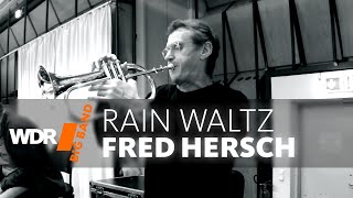 Ruud Breuls & WDR BIG BAND  Rain Waltz