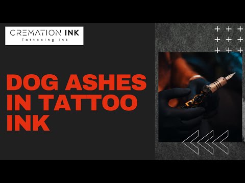 Video: Mengambil Ashes Anjing Anda Adalah Masa Sulit