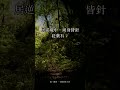 正在低谷?《菜根譚》:逆境裡的苦,是針砭藥石