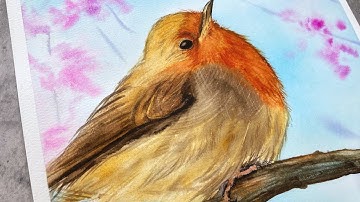 Painting a Realistic Watercolor Robin Step by Step
