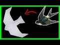 Cara Membuat Pesawat Burung Walet Dari Kertas