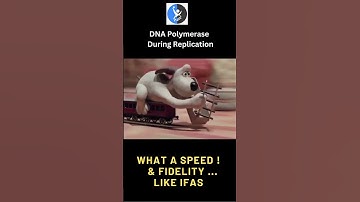 How Fast is DNA Polymerase ? Predict its Speed #ifas #csirnet #replication