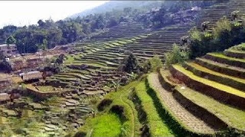 Du lịch xứ Thanh - Pù luông Bá Thước - Điểm đến lý tưởng cho mọi người trải nghiệm _ Mường ngạo TV