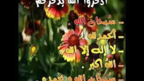 سورة الرحمن  بصوت القارئ براء الجنابي