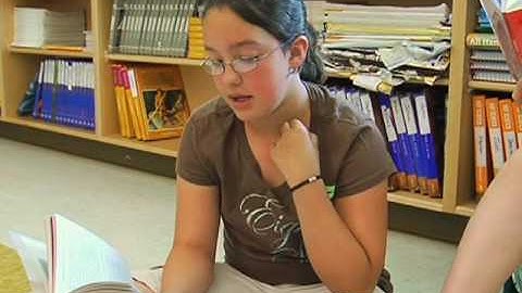 UDL Guidelines in Practice: Grade 5 Language Arts