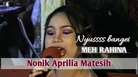 Meh Rahina - Nonik Ad