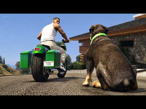 Franklin LEFT Chop (GTA 5)