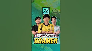 professional roamer for you #mobilelegends #mlbb