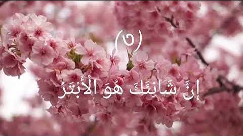 108( সূরা আল কাওসার سورة الكوثر প্রাচুর্যSurah Al Kawthar #المصحف #الرحمن #unfrezzmyaccount