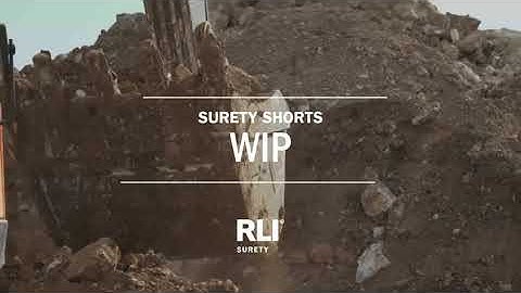 RLI Surety - Work In Progress
