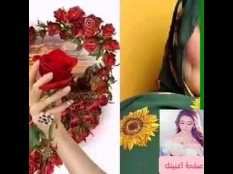 انغام و اكسفك ازاي