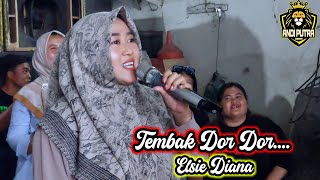 TEMBAK DOR DOR VOC ELSIE DIANA || ANDI PUTRA 3 EDISI CEK SOUND 23 JAN 25