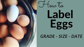 How to Label Eggs: Grading, Sizing, and Dating Eggs