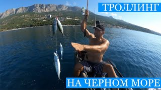 видео: ТРОЛЛИНГ с каяка на Чёрном море! - Ловлю пеламиду, готовлю сашими, навещаю Планчика на новом месте!) картинка: ТРОЛЛИНГ с каяка на Чёрном море! - Ловлю пеламиду, готовлю сашими, навещаю Планчика на новом месте!)