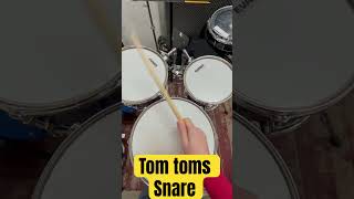 Tom toms & Snare drum