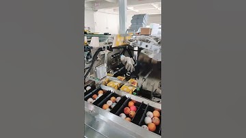 This carton packing machine is suitable for packing perfume, soap, mosquito coils, daily necessities