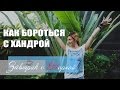 Как бороться с хандрой. 7 способов борьбы с хандрой. Завтрак с Норной