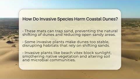 How Do Invasive Species Harm Coastal Dunes? - Ecosystem Essentials