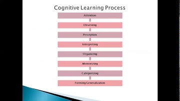 Organizational Behavior- Learning - Cognitive learning theory