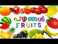  fruits name in malayalam and english with pictures     