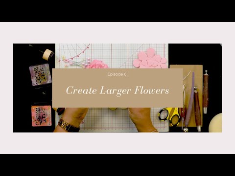 Video: Catchment - květina neobvyklého tvaru