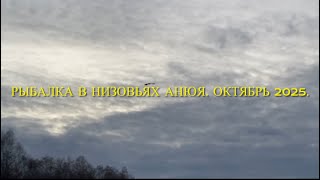 Рыбалка в низовьях Анюя. Октябрь 2025 г.