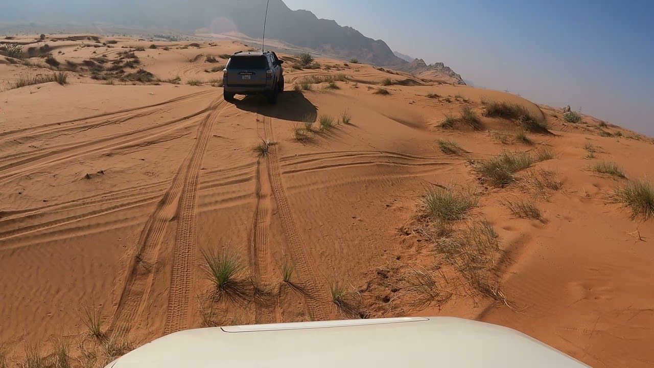 DESERT OFF-ROAD SERIES | GREENERY | FOSSIL ROCK | AL FAYA DESERT | Toyota FJ Cruiser | DUBAI, UAE