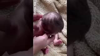 Fack Baby Vedio.......