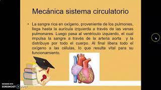 INTERRELACIÓN SISTEMA RESPIRATORIO Y CIRCULATORIO