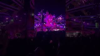 Martin Garrix U0026 Mesto  Breakaway feat Wilhelm Vs Satisfaction acapella