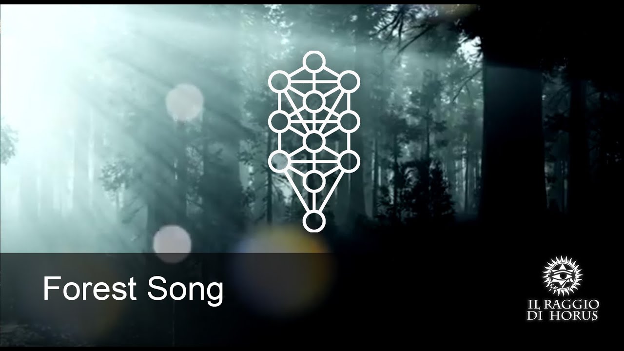 Relaxing Music with Nature Sounds, Forest Music, Sleep Music